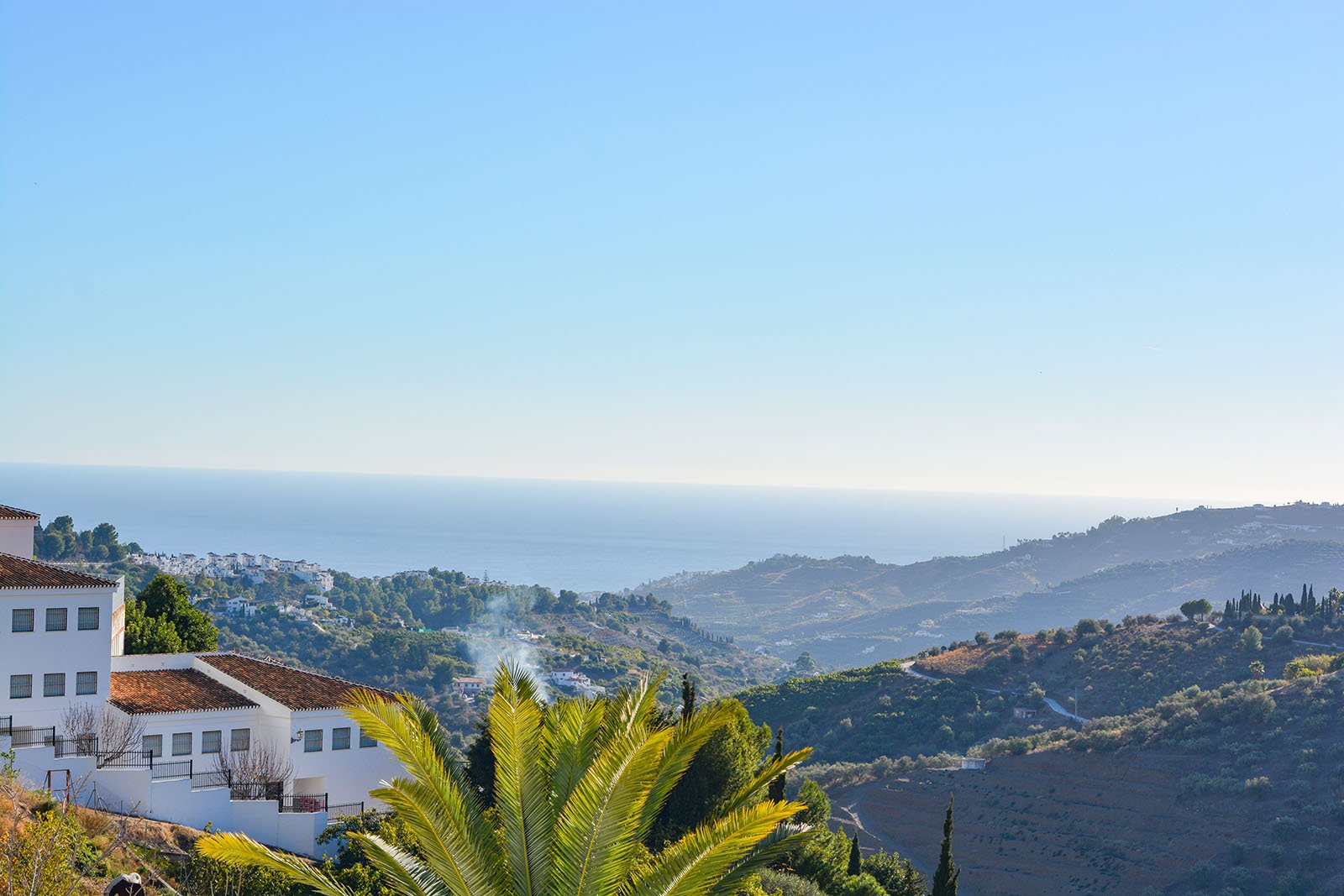 TERR VIEW 5