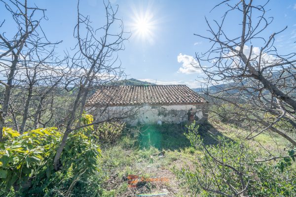 FR746 (16 of 17)