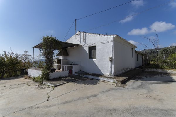 FR77517